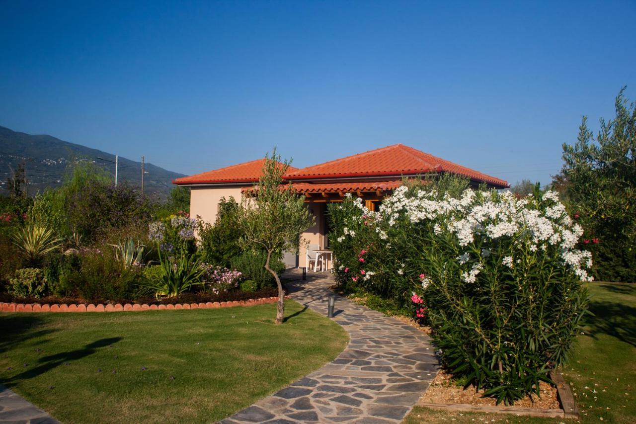 Elite Cottages Kato Lekhonia ภายนอก รูปภาพ